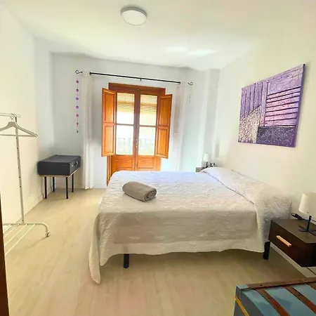 Home4u Realejo Apartment Granada